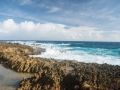 2016-Aruba-16