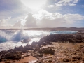 2016-Aruba-18