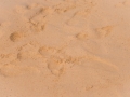2016-Aruba-51